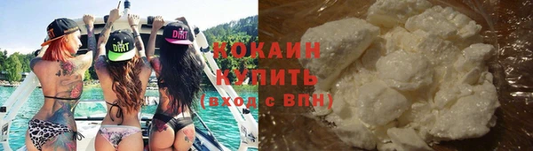 гашик Дмитриев