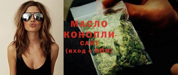 гашик Дмитриев