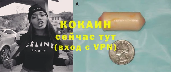 гашик Дмитриев