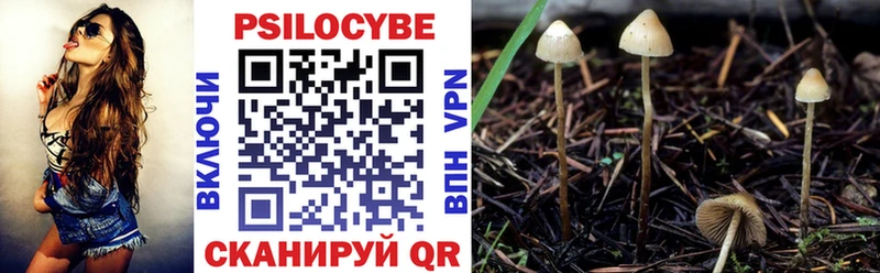 Купить  Печора  Псилоцибиновые грибы MAGIC MUSHROOMS 
